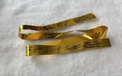 Item thumbnail for item e70c3563-a862-4800-8358-f42f05f7c07c