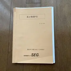 SEG 高2物理FG 2022年
