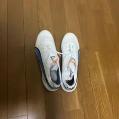 Puma King Ultimate FG/AG 28cm ホワイト