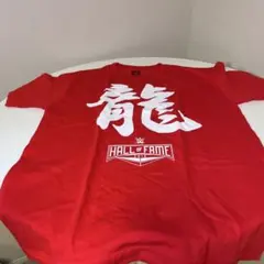 Item thumbnail for item 8c72edce-f0fc-4901-95f0-9185a019f34a