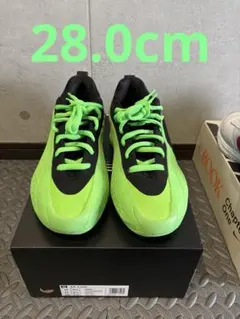 AE1 low slime adidas 28.0cm