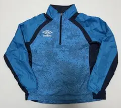 Item thumbnail for item 7667b053-3064-4b60-bfbf-efdf5e3310e0