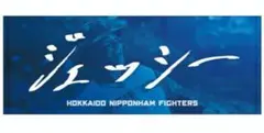 水谷瞬　直筆デザイン　タオル　ジェッシー　日本ハム　ファイターズ