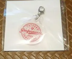 山下達郎　ミニアクリルチャーム　PERFORMANCE 2025 非売品