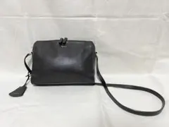 CECCHI DE ROSSI ARMOR BELT BAG ショルダーバッグ - メルカリ