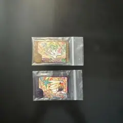 フレンダピック　シェイミ　ソルガレオ　2点セット