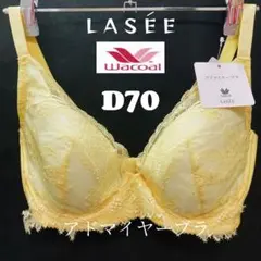 2025年最新】ワコール ラゼ d70の人気アイテム - メルカリ