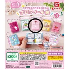 シュガーバニー】サンリオキャラクターズ プロフィール帳 6種 - メルカリ