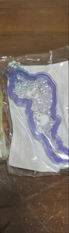 てんてん様専用　琵琶湖キーホルダー