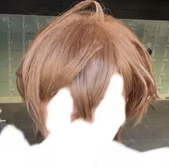 2026年最新】加賀美ハヤト ウィッグの人気アイテム - メルカリ