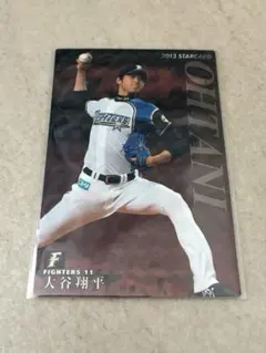 大谷翔平 2013 カルビー プロ野球チップス スターカード