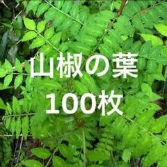 2026年最新】山椒の葉の人気アイテム - メルカリ