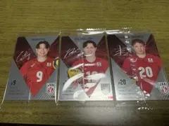 日本代表 バレーボール選手カードセット　ツインウエハース　2025