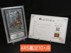 ARS10+ DBFW FB06-035 ブルマ パラレル 【鑑定書付】 - メルカリ