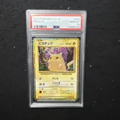 ポケモンカード クラシック classic ピカチュウ ライチュウ 他　引退品 ピカチュウ ライチュウ 5セットまとめ ポケモンカードclassic