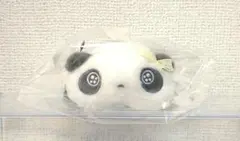サンエックスユニバース ボールチェーン付き キャンディボアぬいぐるみ たれぱんだ