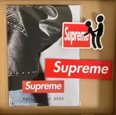 シュプリーム　supreme ノベルティ　ステッカー　ポスター　25FW