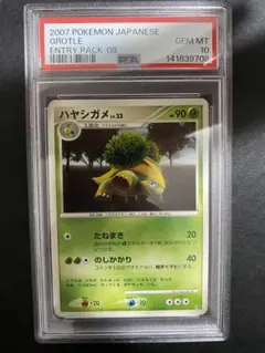 ハヤシガメ DP PSA10 ポケモンカード エントリーパック 世界で1枚のサムネイル
