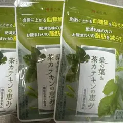 漢方セレクト 桑の葉&茶カテキンの恵み 120粒✖️3袋 - メルカリ