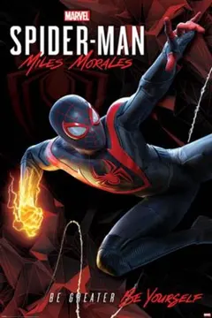 スパイダーマン スパイダーバース ポスター MONDO BNG シルクスクリーン スパイダーマン スパイダーバース ポスター MONDO BNG シルク