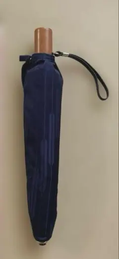 Item thumbnail for item 06876bc5-b611-4843-93b5-130e6db070f7