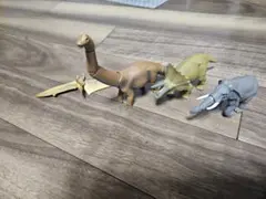 アニア　４つセット