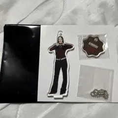 TWICE ランダムミニアクリルスタンドチャーム チェヨン