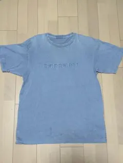 【Carhartt】ロゴ刺繍 Tシャツ フェードブルー Lサイズ 訳あり