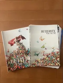 Item thumbnail for item 7ddbe25d-8c5b-4639-b290-8e1513694aab