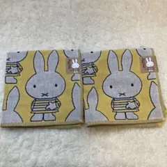 ミッフィー ミニタオル 2枚セット ミッフィー総柄　イエロー　新品 綿100%
