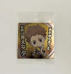 ハイキュー!!シールウエハース　ゴミ捨て場の決戦 R/HQ1-22 夜久衛輔