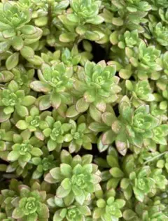 mamarin818様 リクエスト 2点 まとめ商品