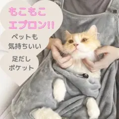 Item thumbnail for item 5c6f8690-9871-4be0-b332-d15802bc10f7