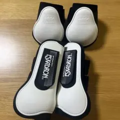 Item thumbnail for item fd432a34-3482-4981-a075-f2e3619406b2