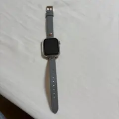Apple Watch SE 40mm Gold Aluminum 本体