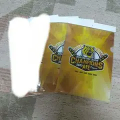 Item thumbnail for item e62edb46-2a46-4c82-b524-4a9c4fa32c1c