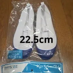 上履き 22.5cm ホワイト/ブルー