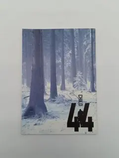 【希少品】　チャイルド44 森に消えた子供たち　映画パンフレット