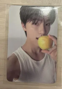 SEVENTEEN 17isrighthere トレカ　ディノ