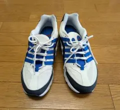 Nike スニーカー ホワイト/ブルー/レッド