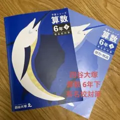 予習シリーズ　6年 2026年最新】予習シリーズ 6年の人気アイテム - メルカリ