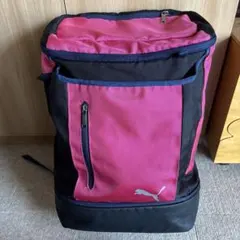 Item thumbnail for item 3c82616e-cd63-47b3-9619-ada57f653deb