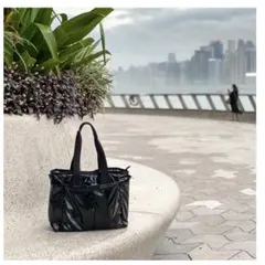 2026年最新】ひとりっぷ レスポートサック ライアントラベルの人気