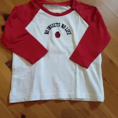 インセクトコレクション長袖S