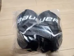 Item thumbnail for item 123641e9-37b4-4490-b4ce-2826a1899f26