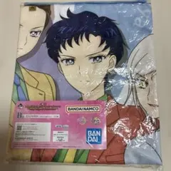 美少女戦士 セーラームーン Cosmos B賞 ビジュアル タオル