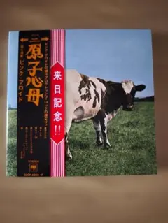 CD】ピンク・フロイド 原子心母(251230) - メルカリ