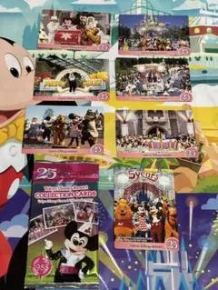 ディズニーチケット 複数枚 サイン入り コレクション チケット ショー