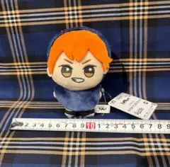 【現品限り】ちびぐるみ　ハイキュー　日向翔陽　アニマルポンチョ