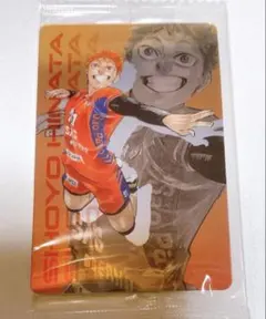 2025年最新】日向翔陽カードの人気アイテム - メルカリ